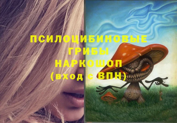 трава Иннополис