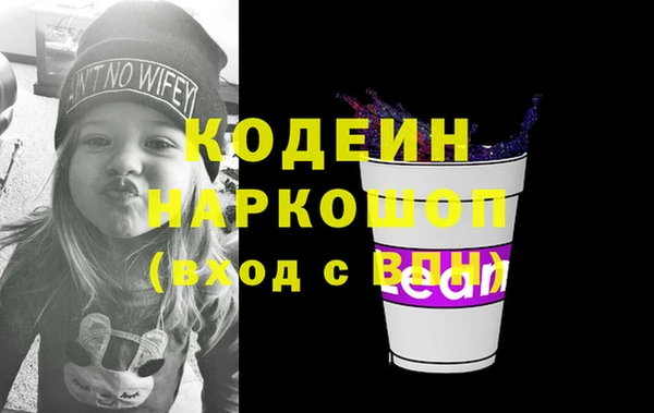индика Инта