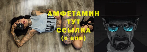 индика Инта