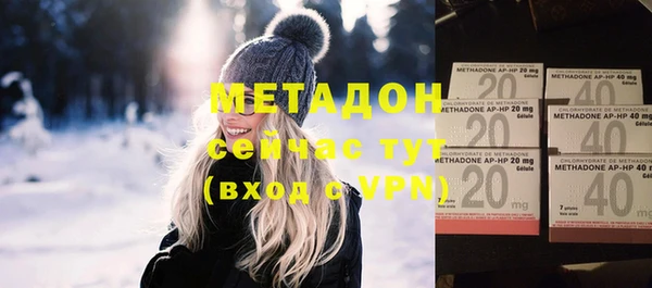 индика Инта