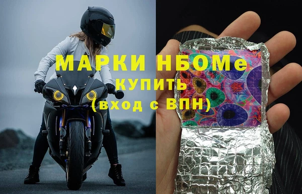 индика Инта