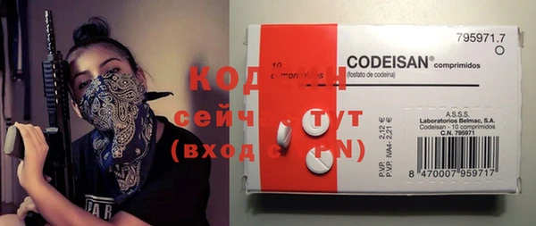 индика Инта