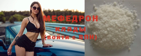 индика Инта