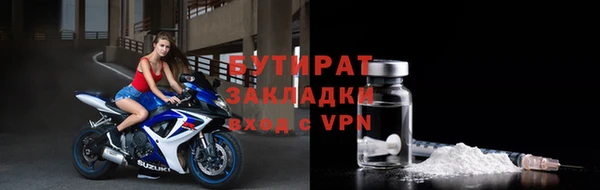 индика Инта