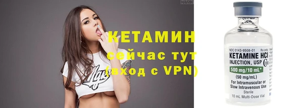 индика Инта