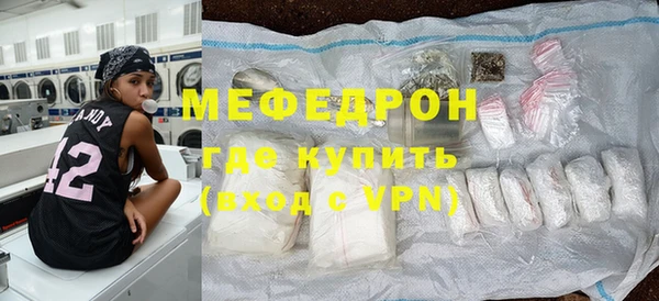 индика Инта