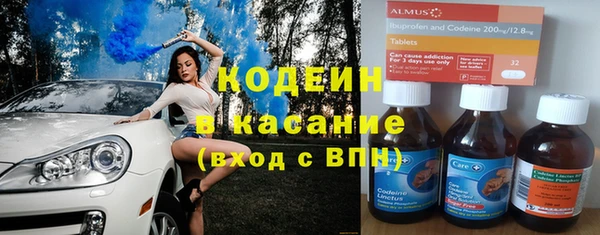 индика Инта