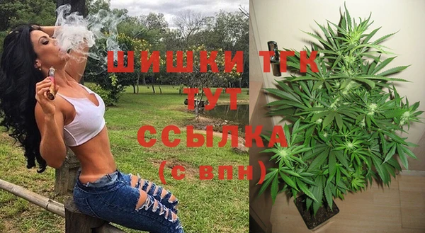 индика Инта