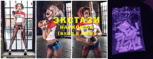 индика Инта