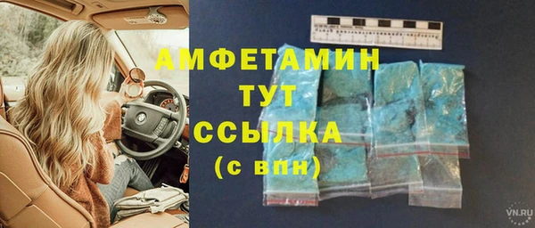 индика Инта