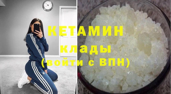индика Инта
