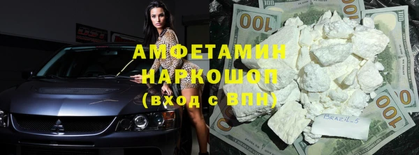 индика Инта