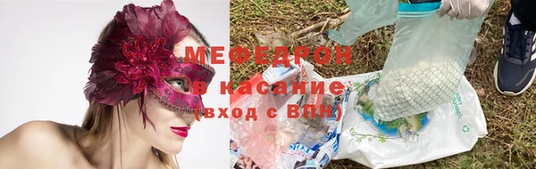индика Инта