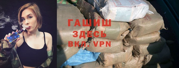 индика Инта