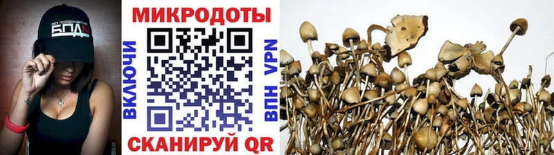 KRAKEN сайт  Суздаль  Псилоцибиновые грибы мицелий 